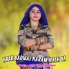 About Naar Badmas Naram Nash Ki Song
